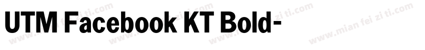 UTM Facebook KT Bold字体转换